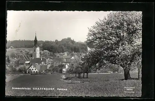 AK Grafendorf, Ortsansicht mit Kirche