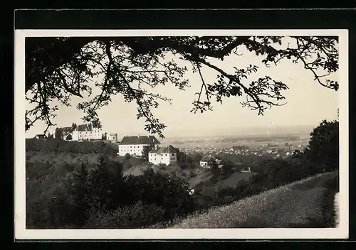 AK Seggau bei Leibnitz, Ortsansicht mit Schloss