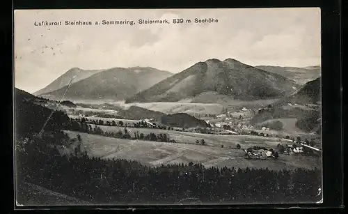 AK Steinhaus a. Semmering, Totalansicht aus der Vogelschau