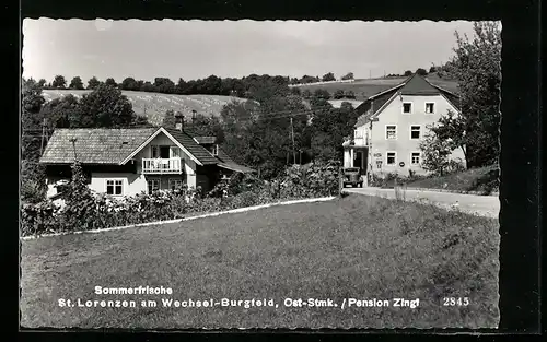 AK St. Lorenzen am Wechsel-Burgfeld, Pension Zingt