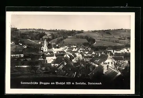 AK Pinggau am Wechsel, Ortsansicht mit Kirche