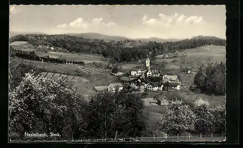 AK Nestelbach, Panoramaansicht