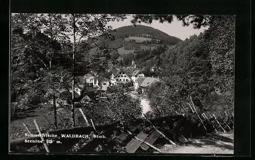 AK Waldbach, Ortsansicht aus der Vogelschau