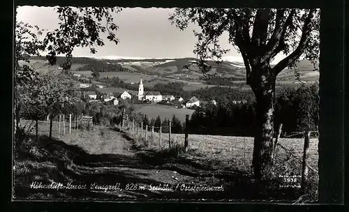 AK Wenigzell, Ortsansicht mit Kirche