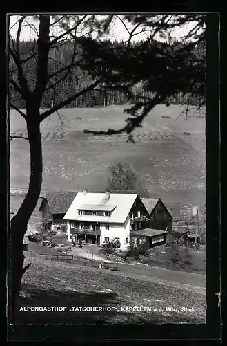 AK Kapellen /Mürz, Gasthof Tatscherhof aus der Vogelschau