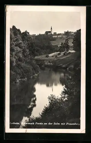AK Leibnitz, Partie an der Sulm mit Frauenberg