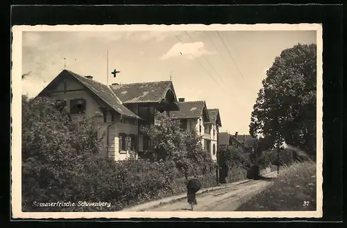 AK Schwanberg, Strassenpartie mit Häusern