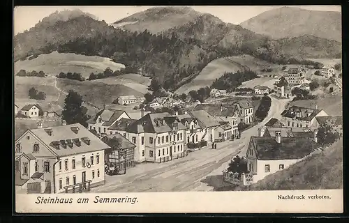 AK Steinhaus am Semmering, Strassenpartie aus der Vogelschau