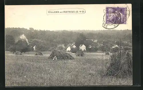 AK Villers-en-Arthies, Vue Gènèrale