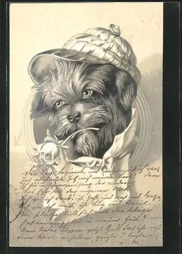 Lithographie Hund als Kavalier mit Rose