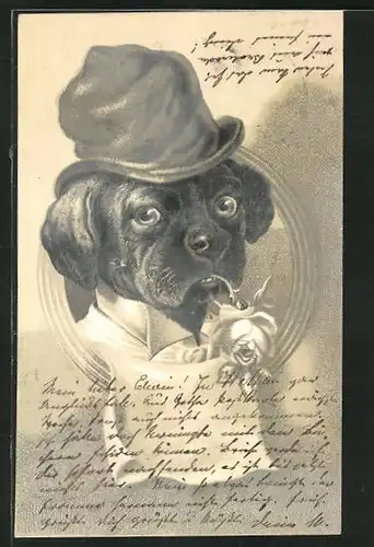 Lithographie Hund mit Hut als Kavalier mit Rose
