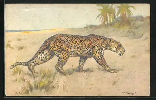 Künstler-AK Leopard pirscht durch die Savanne