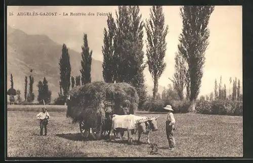 AK Argelès-Gazost, La Rentrée des Foins