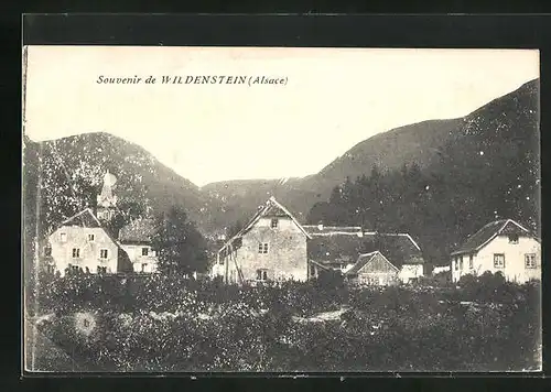 AK Wildenstein, Panorama
