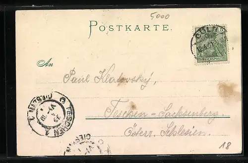 Künstler-AK C. Pfaff: Köln, Teilansicht mit Dom, Rheindampfer