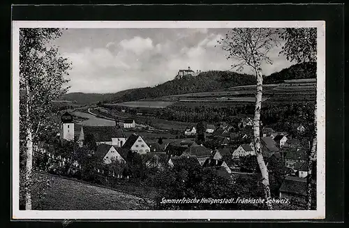 AK Heiligenstadt /Fränk. Schw., Ortsansicht von einer Anhöhe
