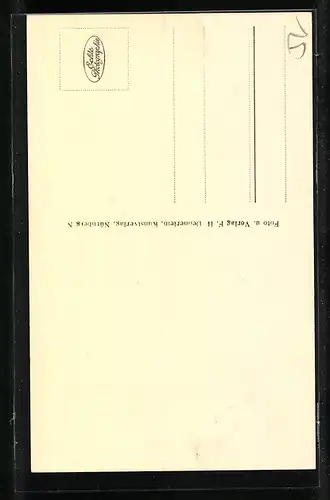 AK Ochsenfurt a. M., Teilansicht der Strasse