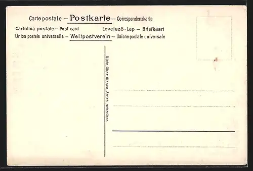 Lithographie Freiburg, Hotel Sommer Zähringer Hof und Münster