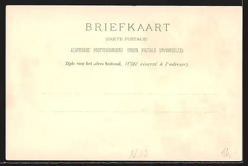 Lithographie `s Gravenhage, Stadhuis, De Bezuidenhoutsche Weg, Standbeeld v. Prins Willem I.