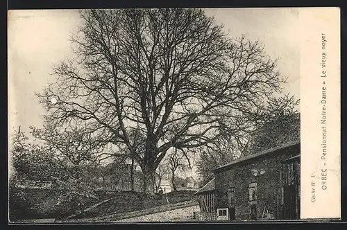 AK Orbec, Pensionnat Notre-Dame, le Vieux Noyer
