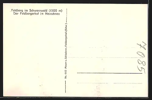 AK Feldberg / Schwarzwald, Feldberger Hof im Neuschnee