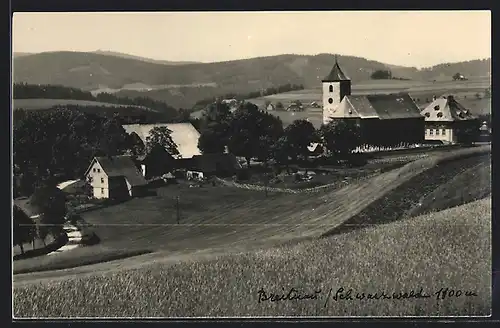 AK Breitnau / Schwarzwald, Ortsansicht mit Kirche