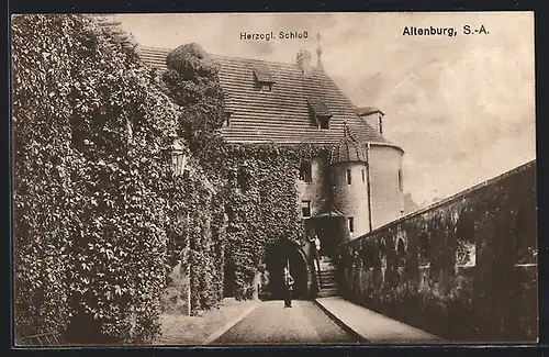 AK Altenburg / S.-A., Herzogl. Schloss