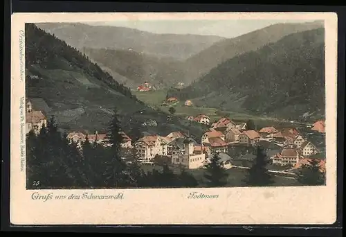 AK Todtmoos /Schwarzwald, Teilansicht aus der Vogelschau