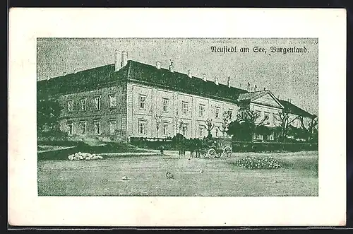 AK Neusiedl am See, Pferdekutsche vor einem Gebäude