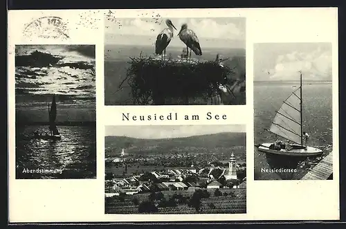 AK Neusiedl am See, Segler, Abendstimmung, Panorama