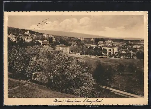 AK Sauerbrunn, Panorama