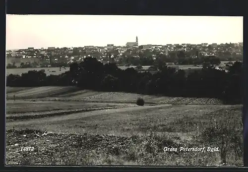 AK Gross Petersdorf, Blick zum Ort