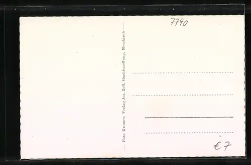 AK Messkirch, Blick über die Wiese auf den Ort