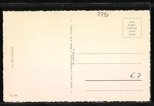 AK Messkirch, Teilansicht vom Feld aus