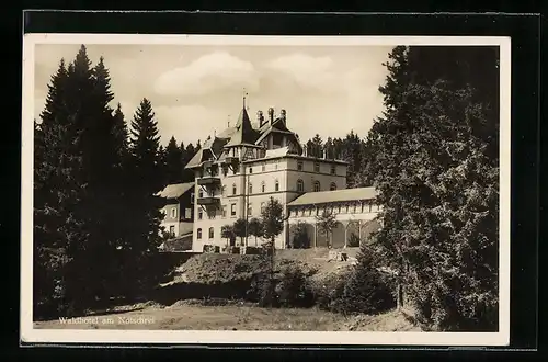AK Notschrei /Schwarzwald, Blick auf das Waldhotel am Notschrei