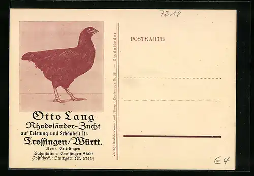 AK Trossingen /Württ., Otto Lang, Rhodeländer-Zucht