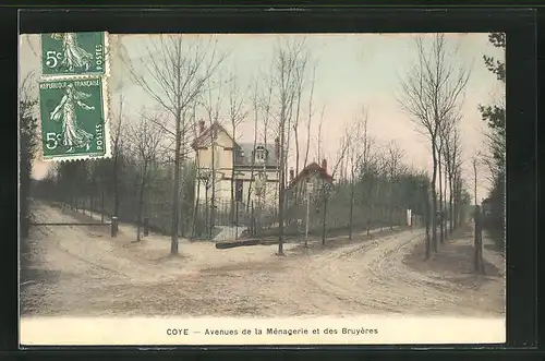 AK Coye, Avenues de la Mènagerie et des Bruyères