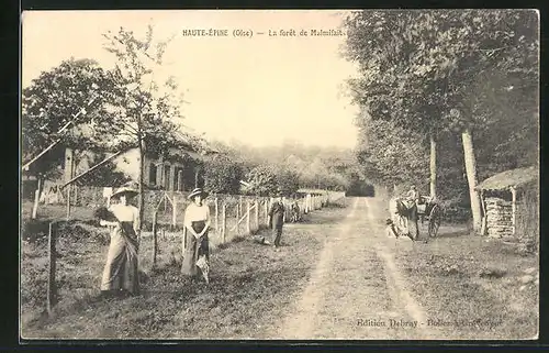 AK Haute-Épine, La forêt de Malmifait