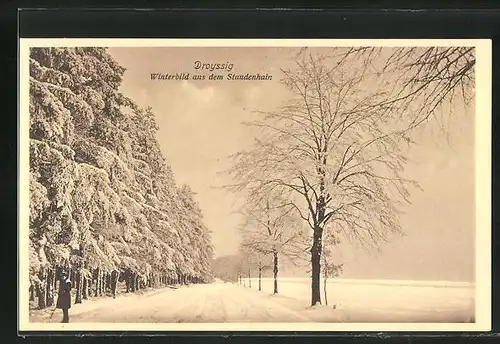 AK Droyssig, Winterbild aus dem Staundenhain