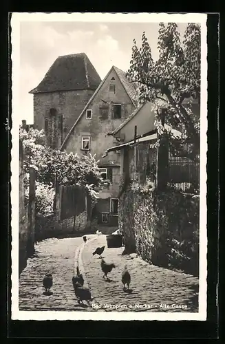 AK Bad Wimpfen, Alte Gasse