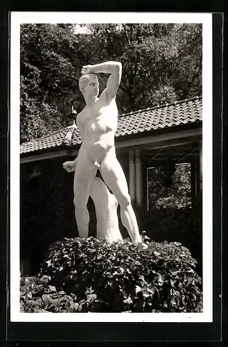 AK Wildbad /Schwarzwald, Kämpfer im Kurpark