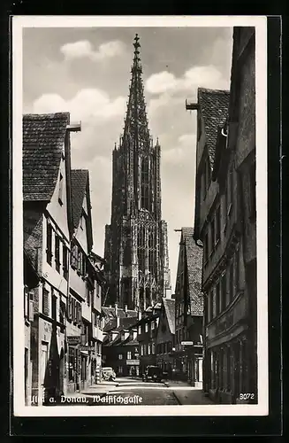 AK Ulm a. Donau, Blick in die Walfischgasse zum Münster