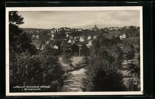 AK Birkenfeld i. Schwarzwald, Anblick des Luftkurortes