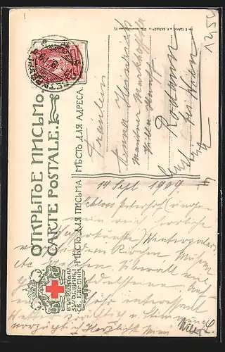 AK Péterhof, Le grand canal et le Samson