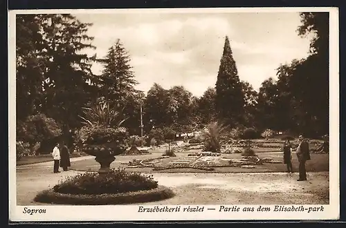 AK Sopron, Partie aus dem Elisabeth-park