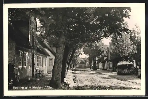 AK Nieblum / Föhr, Sicht auf die Dorfstrasse