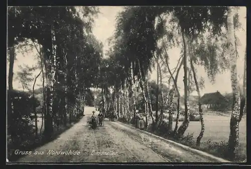 AK Nordwohlde, Birkenallee