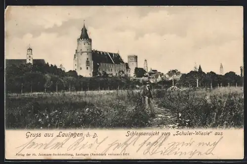 AK Lauingen a. D., Schlossansicht vonm Schuler-Wiesle aus gesehen
