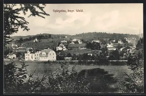 AK Spiegelau / Bayr. Wald, Gesamtansicht