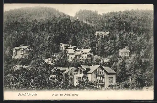 AK Friedrichroda, Villen am Herzogsweg